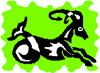 pic-capricorn