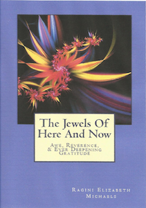Cover of Jewels of Here and Now
